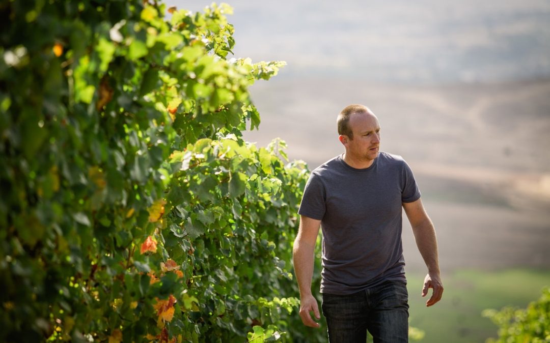 Finding Pinot