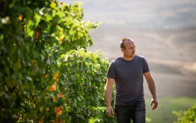 Finding Pinot
